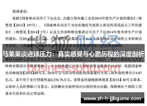 马莱莱谈进球压力:真实感受与心路历程的深度剖析 马莱莱谈进球压力:真实感受与心路历程的深度剖析